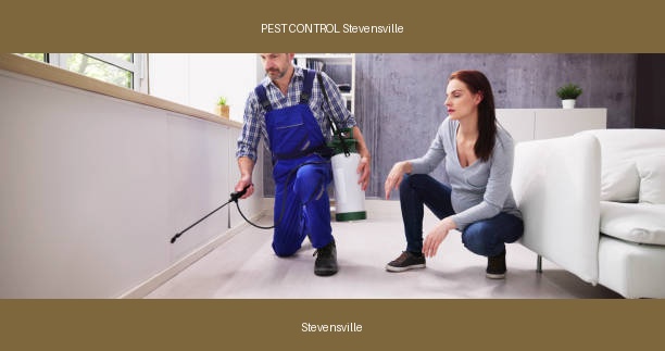 PEST CONTROL Stevensville